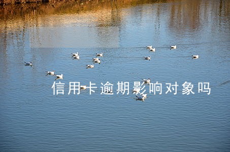 信用卡逾期影响对象吗
