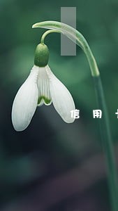 信用卡逾期影响小额贷款吗 信用卡逾期影响小额贷款吗
