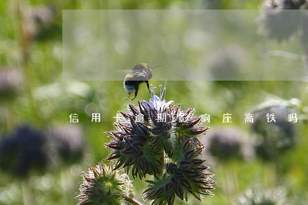 信用卡逾期影响座高铁吗 信用卡逾期影响座高铁吗