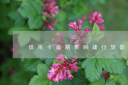 信用卡逾期影响建行贷款吗
