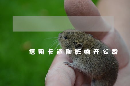 信用卡逾期影响开公司