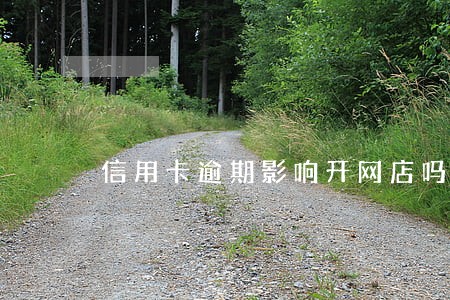 信用卡逾期影响开网店吗 信用卡逾期影响开网店吗