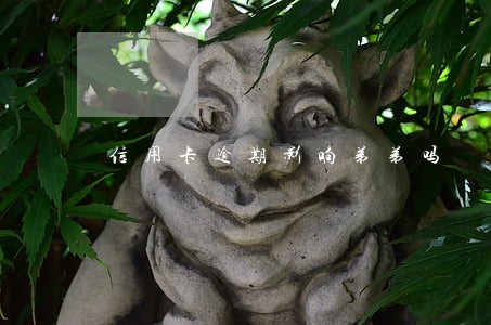 信用卡逾期影响弟弟吗 信用卡逾期影响弟弟吗