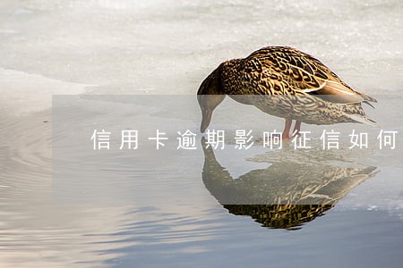 信用卡逾期影响征信如何解除