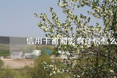 信用卡逾期影响征信怎么申诉