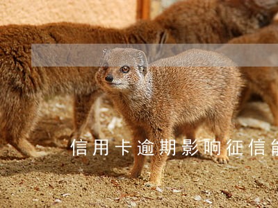 信用卡逾期影响征信能买房吗 信用卡逾期影响征信能买房吗