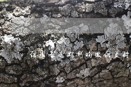 信用卡逾期影响微信支付 信用卡逾期影响微信支付