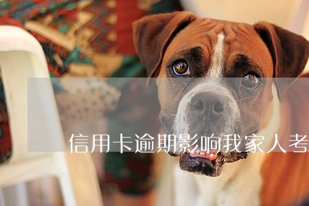 信用卡逾期影响我家人考公务员吗 信用卡逾期影响我家人考公务员吗