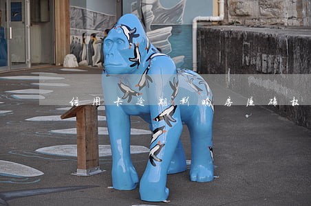 信用卡逾期影响房屋确权吗 信用卡逾期影响房屋确权吗