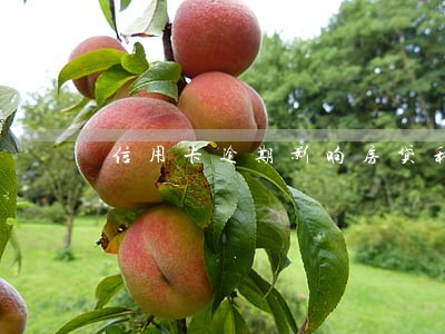信用卡逾期影响房贷利息吗 信用卡逾期影响房贷利息吗