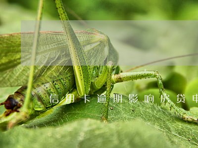 信用卡逾期影响房贷申请吗 信用卡逾期影响房贷申请吗