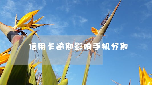 信用卡逾期影响手机分期 信用卡逾期影响手机分期