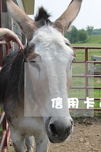 信用卡逾期影响找普通工作么 信用卡逾期影响找普通工作么