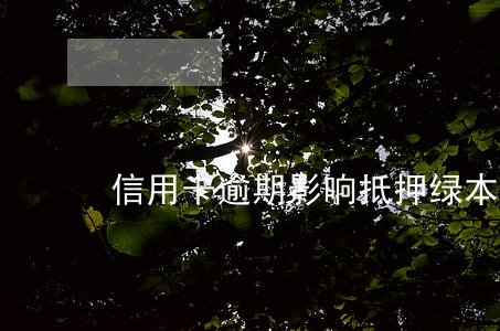 信用卡逾期影响抵押绿本吗 信用卡逾期影响抵押绿本吗