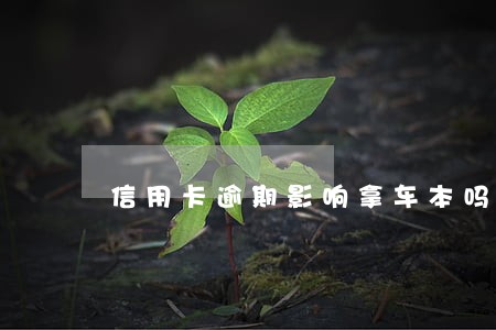信用卡逾期影响拿车本吗 信用卡逾期影响拿车本吗