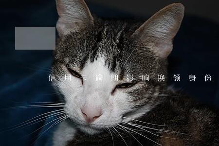 信用卡逾期影响换领身份证吗 信用卡逾期影响换领身份证吗