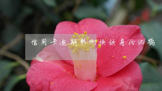 信用卡逾期影响换领身份证嘛 信用卡逾期影响换领身份证嘛