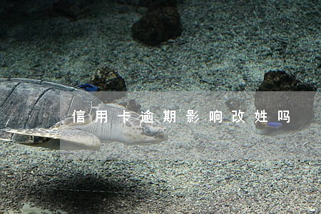 信用卡逾期影响改姓吗 信用卡逾期影响改姓吗