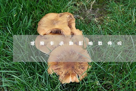 信用卡逾期影响教师吗 信用卡逾期影响教师吗