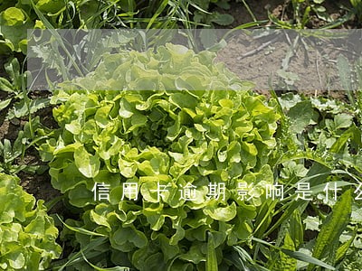 信用卡逾期影响是什么 信用卡逾期影响是什么