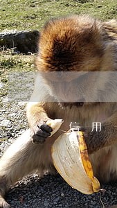 信用卡逾期影响是什么意思 信用卡逾期影响是什么意思