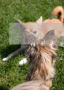 信用卡逾期影响有哪些