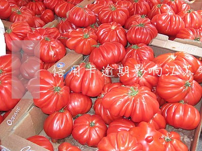 信用卡逾期影响江苏省考吗 信用卡逾期影响江苏省考吗