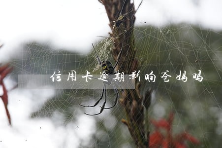 信用卡逾期影响爸妈吗 信用卡逾期影响爸妈吗