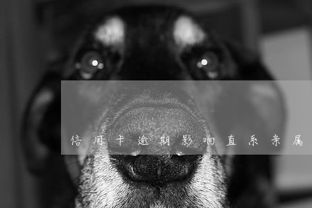 信用卡逾期影响直系亲属吗 信用卡逾期影响直系亲属吗