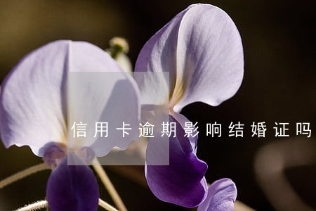 信用卡逾期影响结婚证吗