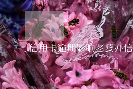 信用卡逾期影响老婆办信用卡 信用卡逾期影响老婆办信用卡