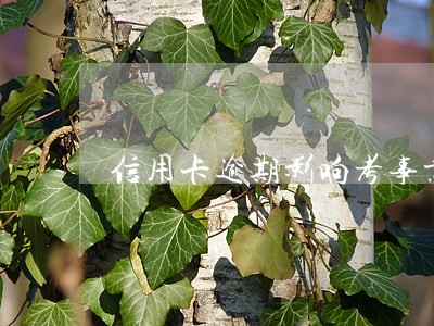 信用卡逾期影响考事业编吗 信用卡逾期影响考事业编吗