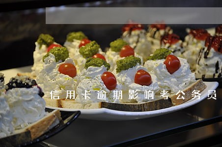 信用卡逾期影响考公务员 信用卡逾期影响考公务员