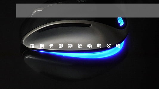 信用卡逾期影响考公吗 信用卡逾期影响考公吗