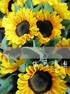 信用卡逾期影响考研妈妈 信用卡逾期影响考研妈妈