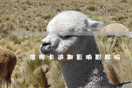 信用卡逾期影响职称吗 信用卡逾期影响职称吗