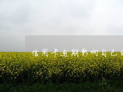 信用卡逾期影响自己的政审吗