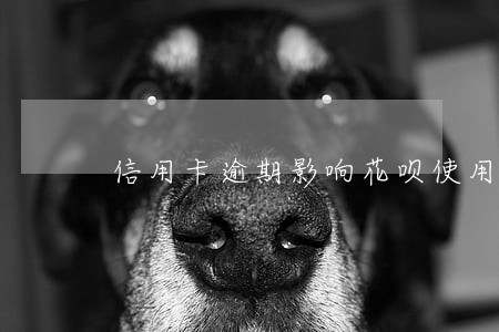信用卡逾期影响花呗使用吗 信用卡逾期影响花呗使用吗