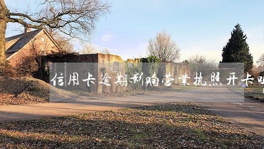 信用卡逾期影响营业执照开卡吗 信用卡逾期影响营业执照开卡吗