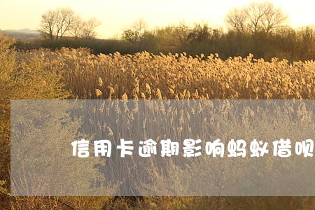 信用卡逾期影响蚂蚁借呗么 信用卡逾期影响蚂蚁借呗么