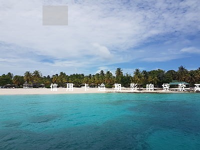 信用卡逾期影响贷款买房子吗 信用卡逾期影响贷款买房子吗