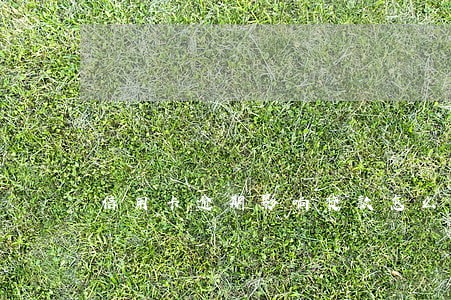 信用卡逾期影响贷款怎么消除 信用卡逾期影响贷款怎么消除