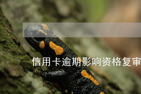 信用卡逾期影响资格复审吗 信用卡逾期影响资格复审吗