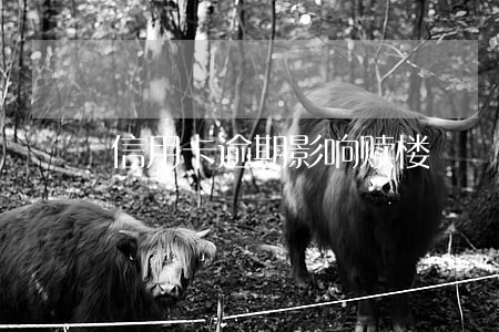 信用卡逾期影响赎楼 信用卡逾期影响赎楼