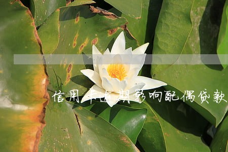 信用卡逾期影响配偶贷款 信用卡逾期影响配偶贷款