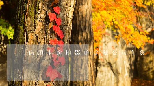 信用卡逾期影响金融公司车贷 信用卡逾期影响金融公司车贷