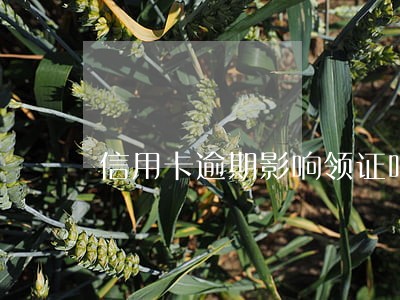 信用卡逾期影响领证吗