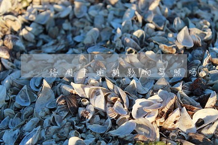 信用卡逾期影响驾照吗