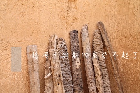 信用卡逾期彻底还不起了 信用卡逾期彻底还不起了
