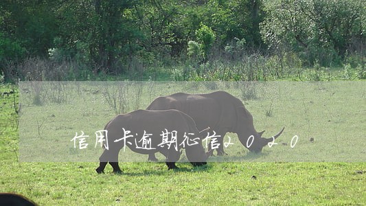 信用卡逾期征信2020 信用卡逾期征信2020